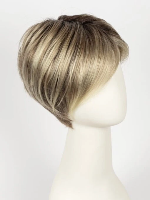 First | Synthetic Lace Front Wig (Hand-Tied) -Switch Shine Store 11053257620 44609718868 31776640270447 1690911465904 First SandyBlondeRooted