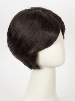 Impulse | Human Hair/Synthetic Blend Lace Front Wig (Hand-Tied) -Switch Shine Store 11627041876 50693306388 31777702510703 1686851382662 Impulse EspressoMix
