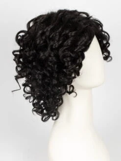 Jamila Plus | Synthetic Lace Front Wig (Basic Cap) -Switch Shine Store 12795150356 60450275348 31788894781551 1677603055065 JamilaPlus 2 1 Black