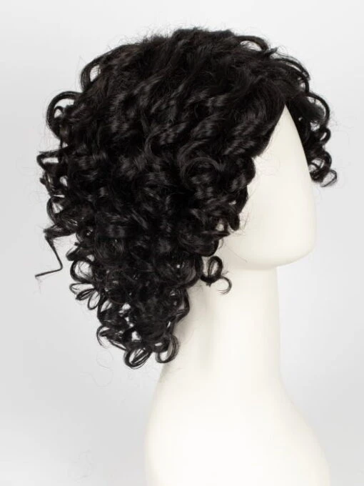 Jamila Plus | Synthetic Lace Front Wig (Basic Cap) -Switch Shine Store 12795150356 60450275348 31788894781551 1677603055065 JamilaPlus 2 1 Black