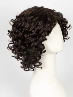 Jamila Plus | Synthetic Lace Front Wig (Basic Cap) -Switch Shine Store 12795150356 60450373652 31788894257263 1677603055065 JamilaPlus 4 6 2 EspressoMix