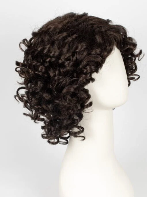 Jamila Plus | Synthetic Lace Front Wig (Basic Cap) -Switch Shine Store 12795150356 60450373652 31788894257263 1677603055065