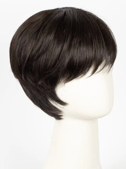 Pixie | Synthetic Wig (Mono Crown) -Switch Shine Store 4307841482863 30972815278191 31776740180079 1692127211657