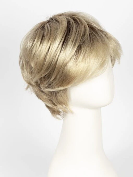 Raise | Synthetic Lace Front Wig -Switch Shine Store 4308064501871 30977577418863 32032859553903 1678219191530 Raise 22 25 16 ChampagneRooted