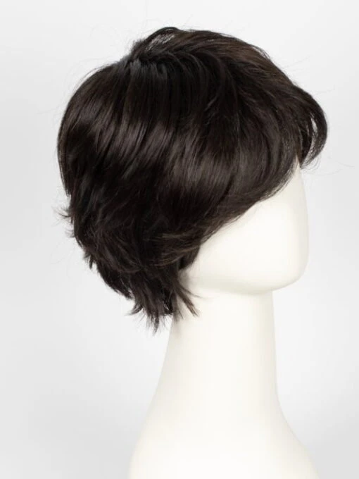 Raise | Synthetic Lace Front Wig -Switch Shine Store 4308064501871 30977577484399 32032858144879 1678219191530 Raise 2 4 EspressoRooted