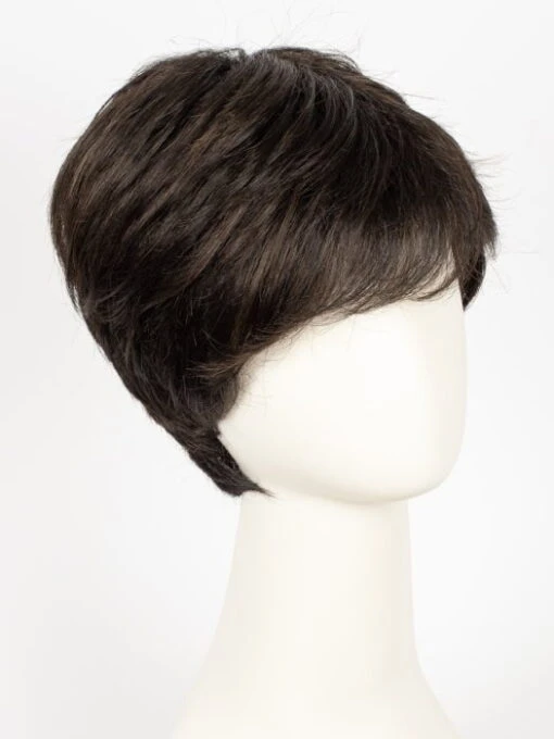Stay | Synthetic Lace Front Wig -Switch Shine Store 4580534616175 32176110305391 31776586367087 1692212510665 Stay EspressoRooted