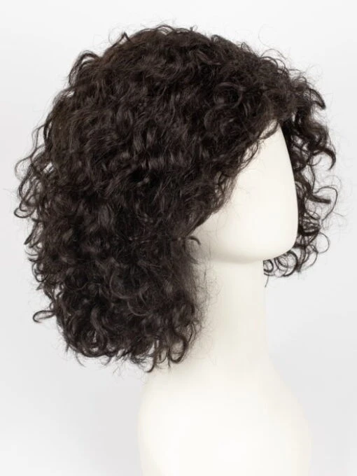 Disco | Synthetic Lace Front Wig -Switch Shine Store 4595322486895 32218589986927 31810467397743 1692896653991 Disco EspressoRooted