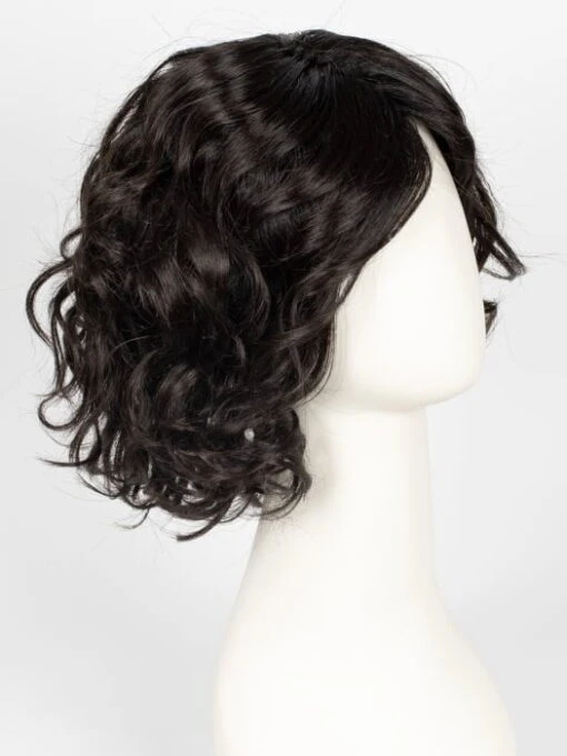 Girl Mono | Synthetic Lace Front Wig (Mono Part) -Switch Shine Store 66926084116 846236549140 28018113577071 1677692639461 GirlMono 4 2 EspressoRooted