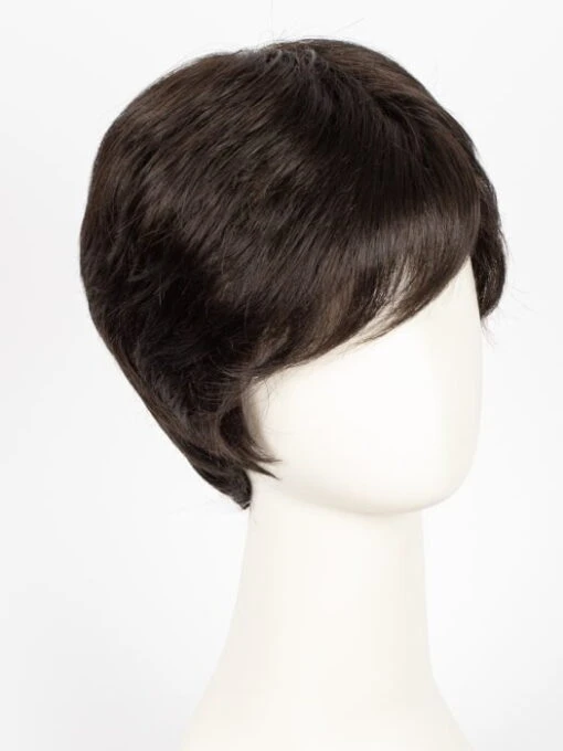 Select Soft | Synthetic Lace Front Wig (Mono Top) -Switch Shine Store 6878427938927 40603390443631 31777735966831 1692297222201