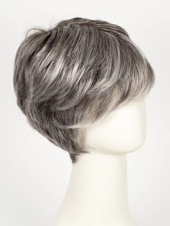Vanity | Synthetic Lace Front Wig (Mono Top) -Switch Shine Store 6883696279663 40613403590767 31767813554287 1686674049573 Vanity SaltPepperRooted