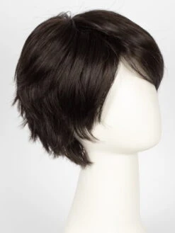 Sky | Synthetic Wig (Mono Crown) -Switch Shine Store 9280663818 32215519370 21867623562 1677606990033 Sky 4 6 2 EspressoMix