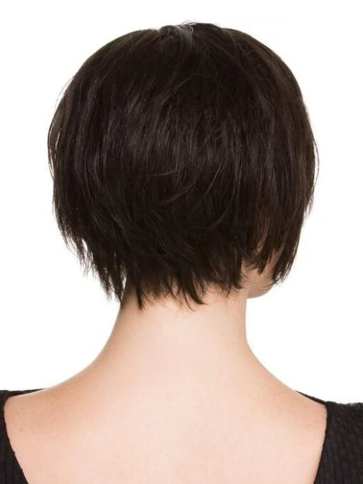 Echo | Synthetic Lace Front Wig (Mono Part) -Switch Shine Store ewecho 23 lg