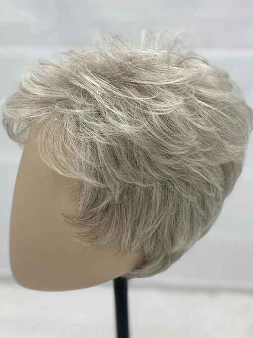 Dot |Synthetic Wig (Mono Crown) -Switch Shine Store resized Dot SilverMix 0005s 0002 IMG 2630 1024x1024 3aec3650 c5a9 43a7 814b f5b1d8ff8b5c
