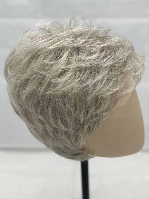 Dot |Synthetic Wig (Mono Crown) -Switch Shine Store resized Dot SilverMix 0005s 0004 IMG 2627 1024x1024 a89ff805 973d 4c1b bd0b 64be0b723643