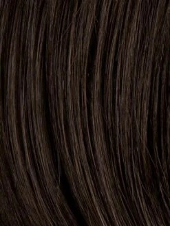 Sage | Synthetic Hair Piece -Switch Shine Store resized 0001 02 ew pp darkbrown 1024x1024 1024x1024 e56df9e8 0b06 4528 9600 4e6c8d0e1f4a